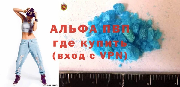 прущие грибы Дмитриев