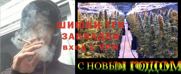 винт Гусиноозёрск