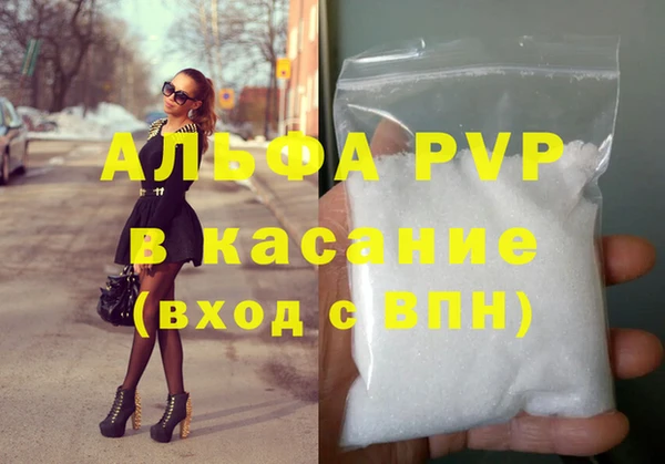 крисы Гусев
