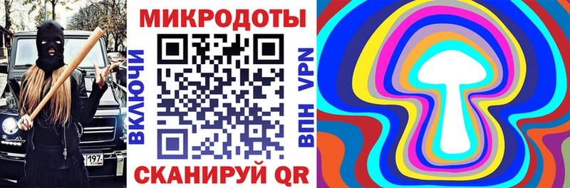 кракен как зайти  Зея  Галлюциногенные грибы Psilocybe 